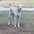 Cindy Gustafson's profile image