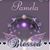 Pamela Scank Williams's profile image