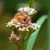 Jeanie Davis Holmberg's profile image