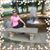Sarah Wicht Schultz's profile image