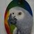 Jan G.'s profile image