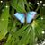 Leslie Brown Avery's profile image
