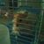 Stephanie Rutz Pavidis's profile image