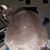 Melissa McGrew's profile image