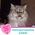 Mary Bowers's profile image