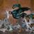 Dawn Franklin's profile image