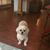 Sandy Wheaton's profile image