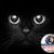 Meg Nichols's profile image