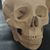 Ray Evans's profile image