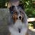Paula Mears's profile image