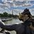 Julie Mae Kalligerakis's profile image