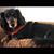 Rene Barnes Dzubay's profile image