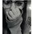 Alana Unitato's profile image