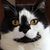 Kathy Kemmerling Schnoke's profile image