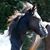 Vikki Buchanan's profile image