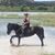 LouAnn Littlefield's profile image