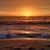 Mireya Alatorre Mendoza's profile image