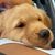 Gina Tegano- Wygonik's profile image