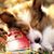 Debbie Duce's profile image