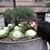 Wendy M Grant's profile image