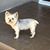 Latanya Meadors's profile image