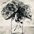 Lynn Tates-Harrington's profile image