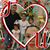 Martha Lule Ayala's profile image