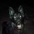 David Lemoine's profile image