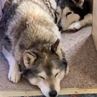 Judy Kyser's profile image