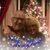 Kathy Keefe's profile image