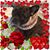 Leslie Diane Norris-marshall's profile image