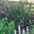 Theresa Brown's profile image