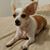 Irene Salazar's profile image
