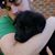 Devon Truscott's profile image