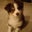Devina Moss's profile image