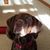 Kathy Seiler Scalf's profile image