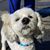 Carol E. Burnside's profile image
