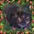 Nancy Mogote's profile image