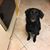 Debra Billard's profile image