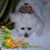 Harold Jenkins's profile image