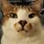 Adam Hoin's profile image