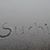 Suchitra Krishnan's profile image