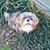 JoAnn Cadle's profile image