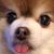 Ann Marie's profile image