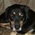 Paul Freeman's profile image