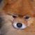 Dot Johnson's profile image