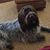 Karen Wilson's profile image