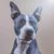 Nikki Benach Spurgeon's profile image