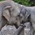 Elena Gunter Anderson's profile image