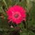 Beth Gauthier-Spohn's profile image